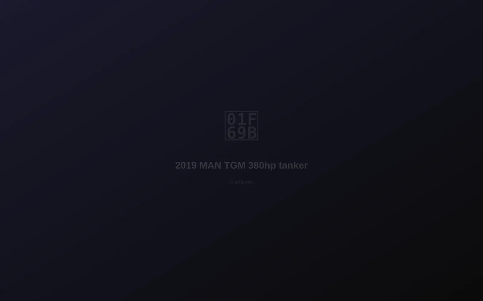 2019 MAN TGM